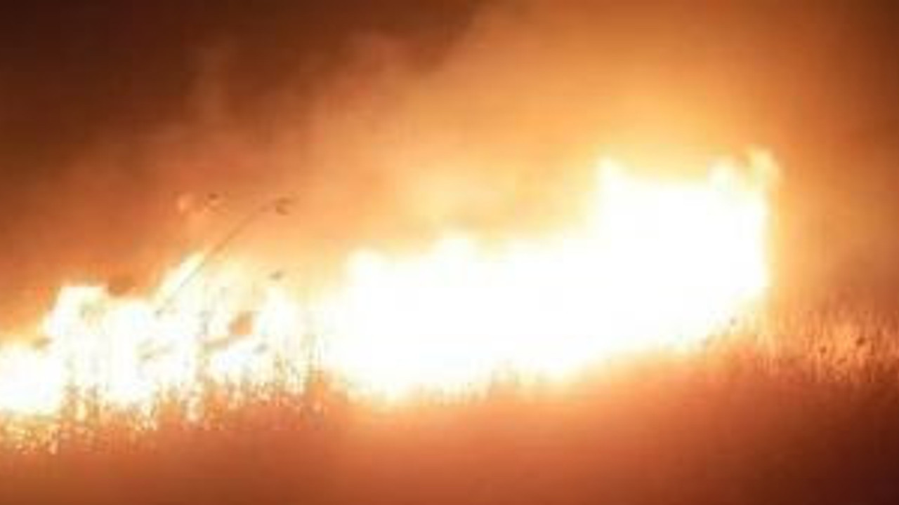 Gala Gölü Milli Parkı'nda yangın