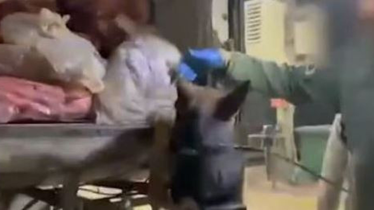 Van’da nefes kesen operasyon