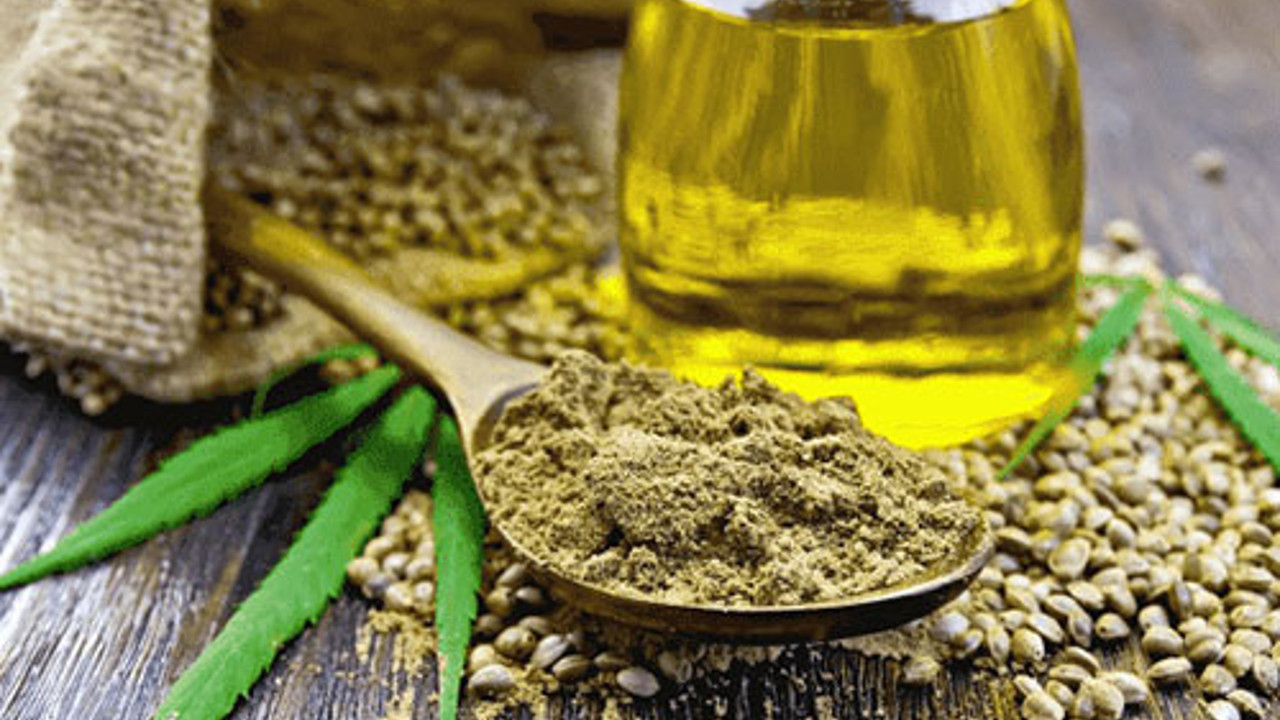 Kenevir Yağının hangi hastalıklara iyi gelir yararları nelerdir
