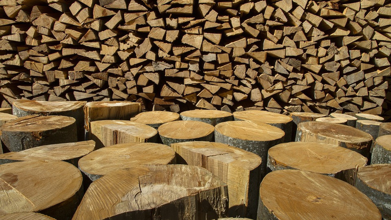 Rüyada odun görmek ne demek? Rüyada odun görmenin tabiri nedir?