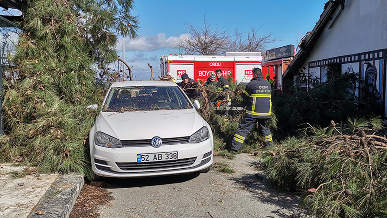 Ordu’yu şiddetli rüzgar vurdu! İş yeri ve otomobiller zarar gördü