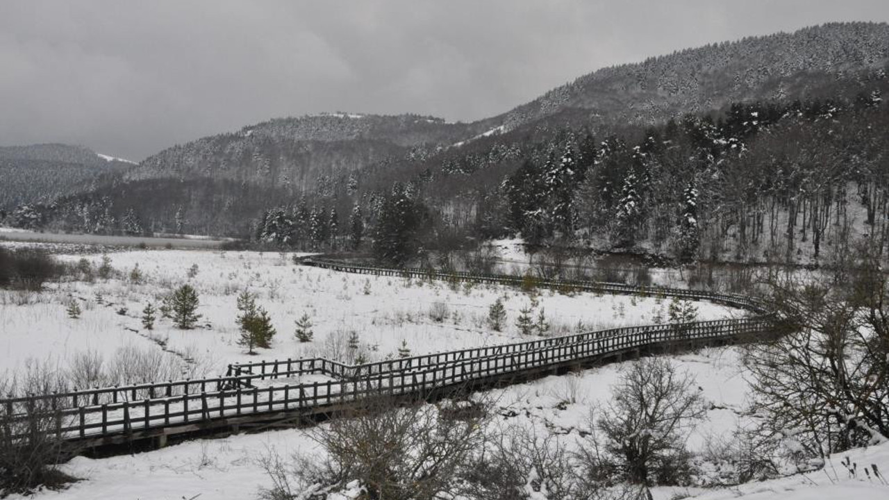 Abant'a Mart karı yağdı