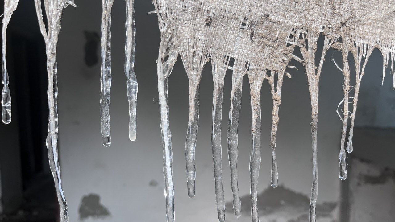 Ağrı'da don etkili oldu