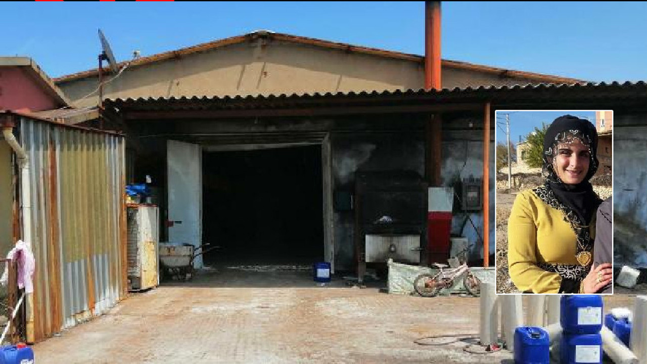 Türkan'ın kürekle öldürülen sanığa ceza yağdı