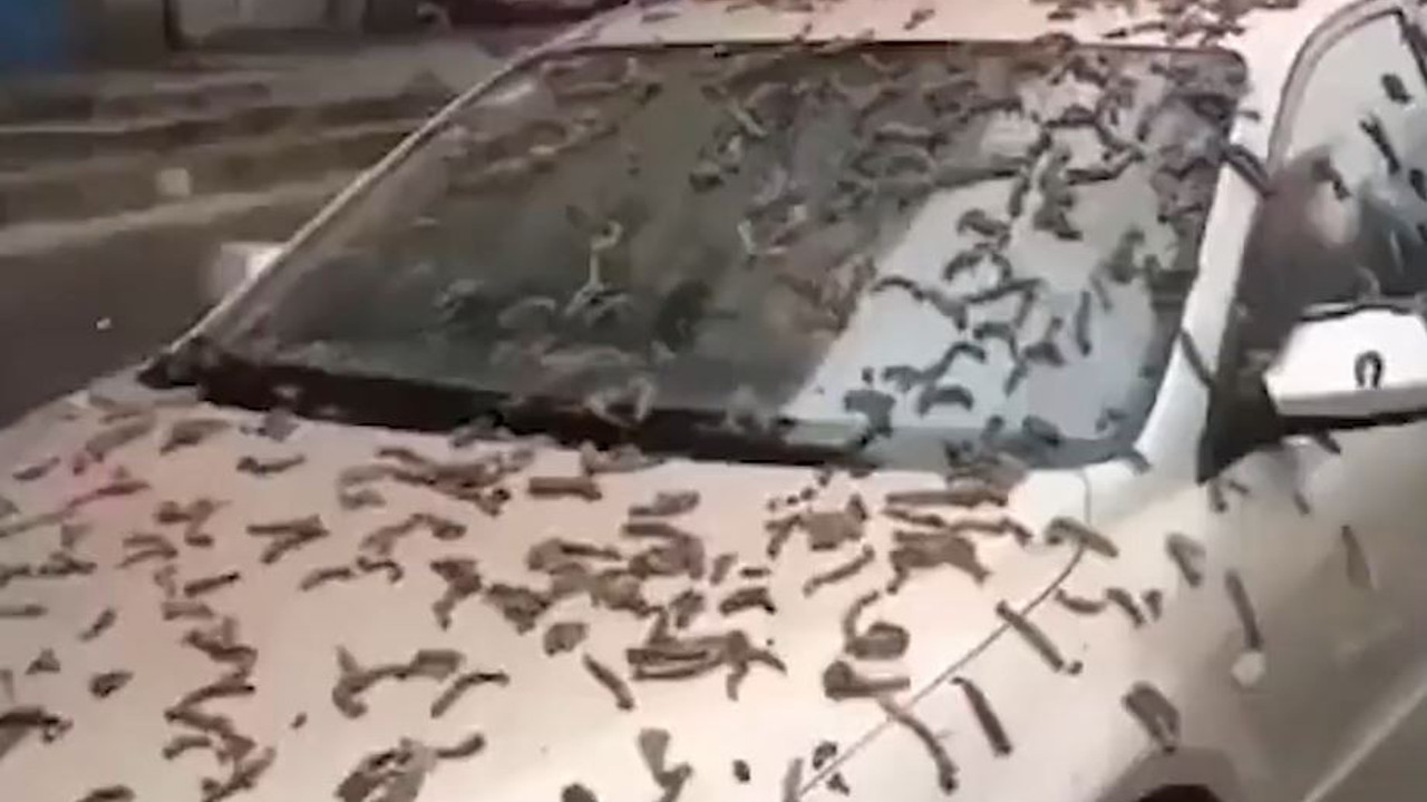 Virüslerin merkezi Çin’de gökten solucan yağdı