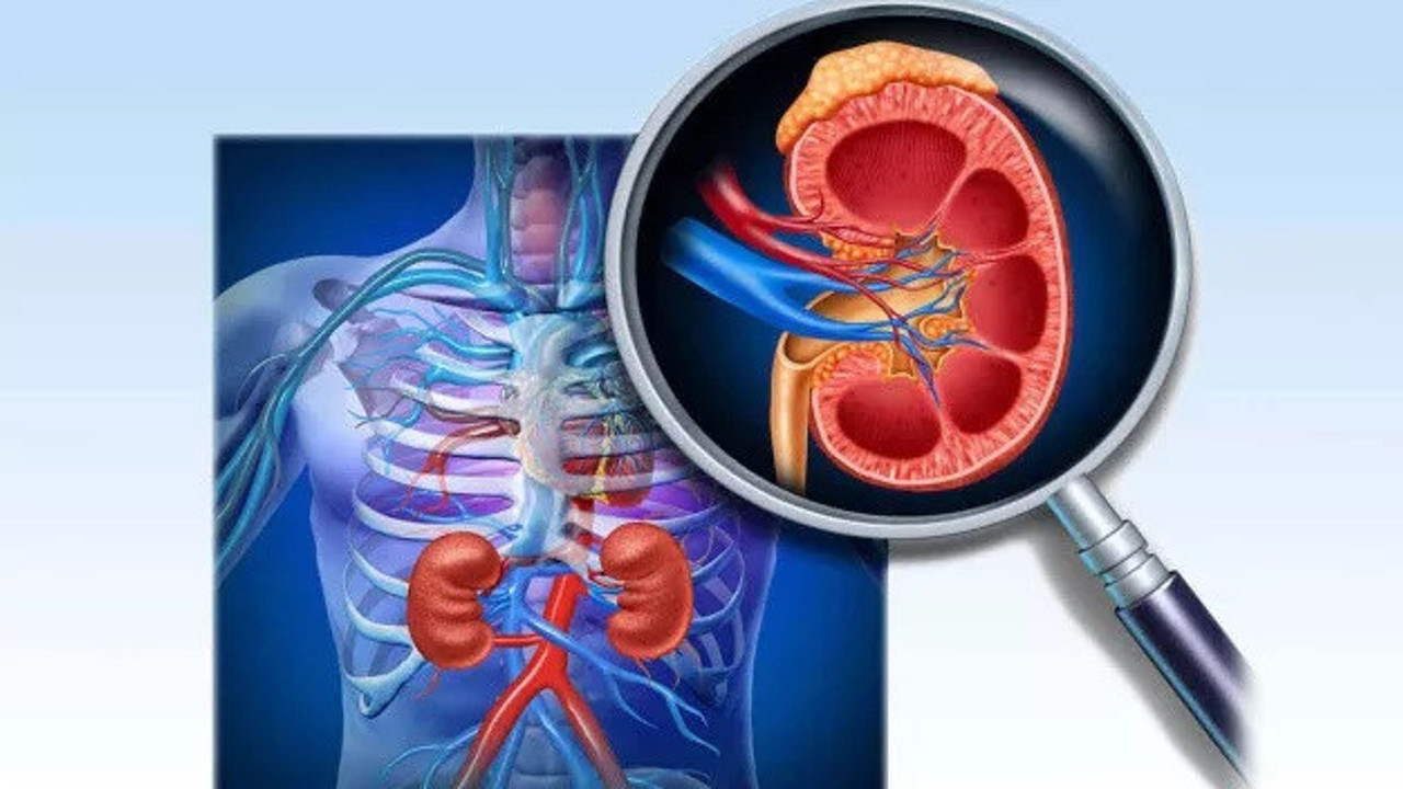 Bitkisel ürünler böbreklere zararlı mı