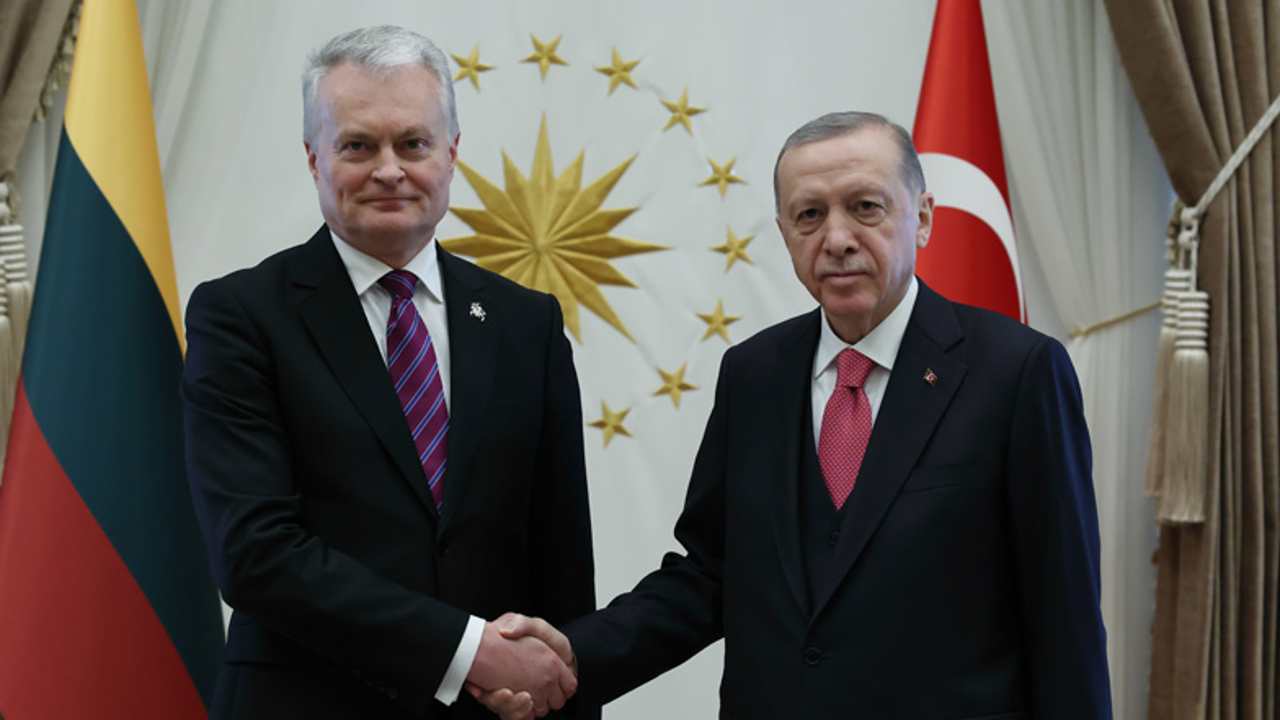 Erdoğan Litvanya Cumhurbaşkanı Nauseda ile görüştü