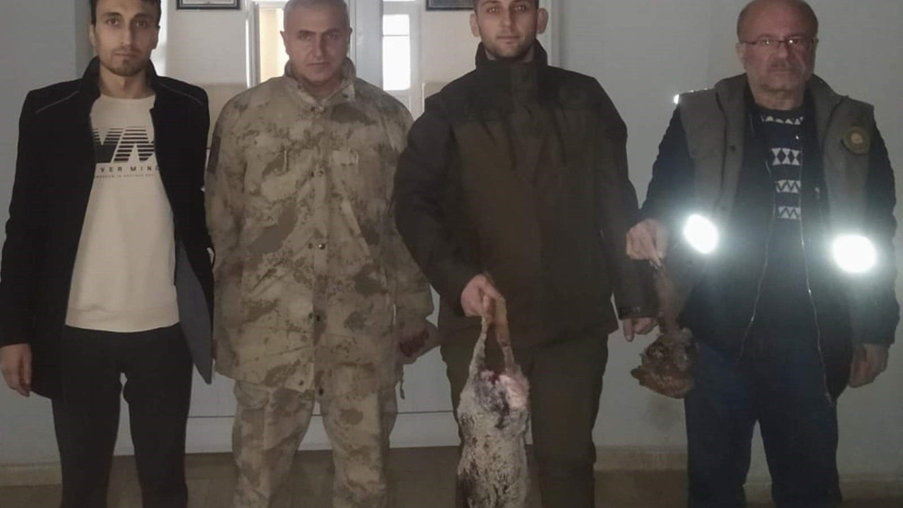 Siirt'te kaçak avcılık yapan şahıslara para cezası