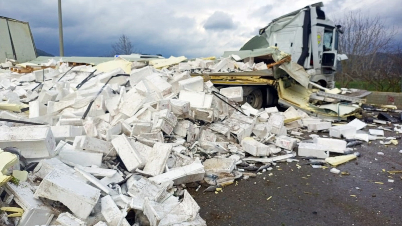 Balık yüklü tır kaza yaptı: Balıklar yola döküldü