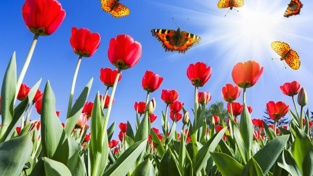 Nevruz ne zaman? 2023 Nevruz bayramı hangi güne denk geliyor?