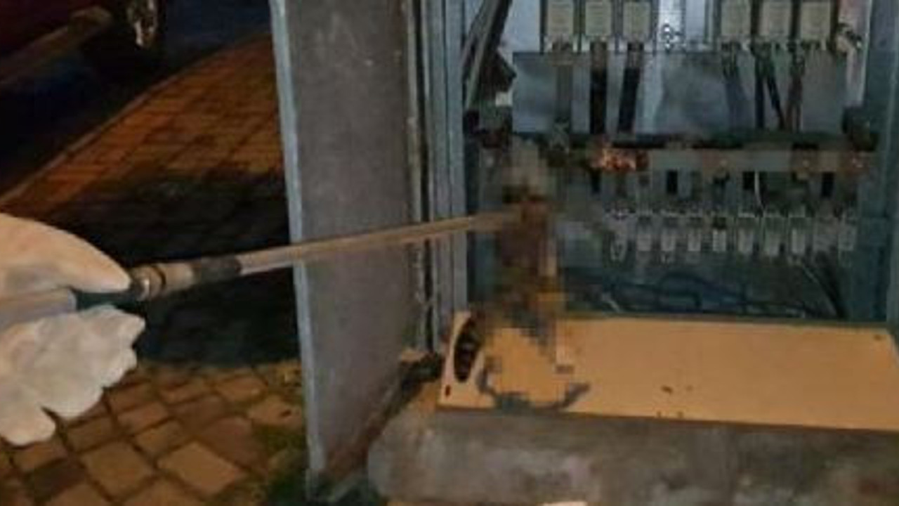 Trafoya kedi girdi sonu kötü oldu