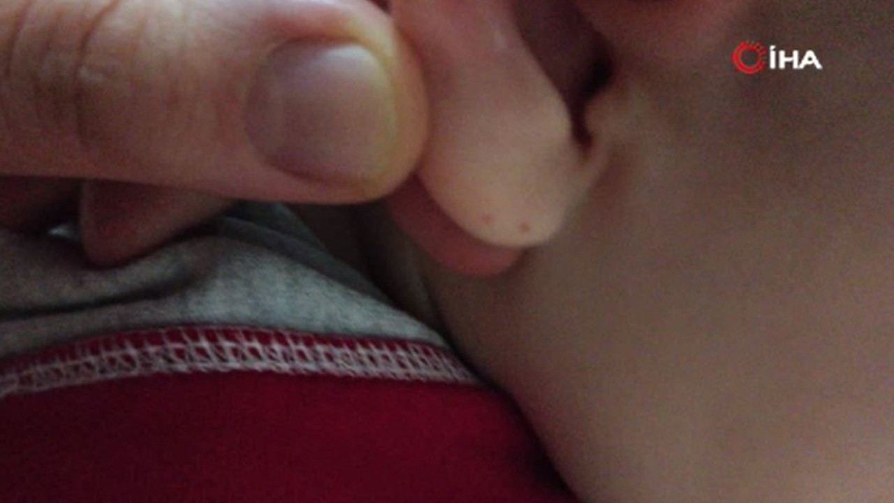 Iğdırlı aile perdenin üzerinde gördü şok üstüne şok yaşadı. Çocukları ağlayınca odaya koştular