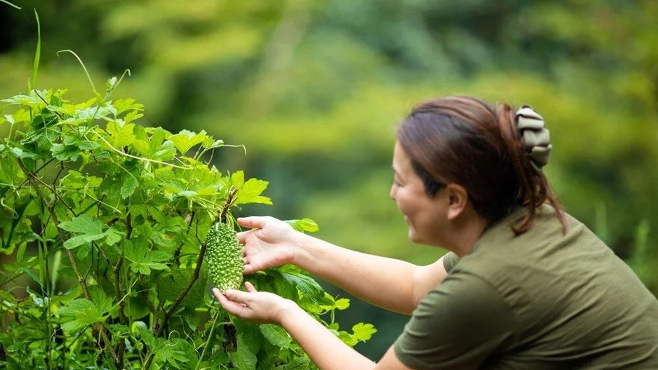İşte 100 yaşını görmenin ipuçları