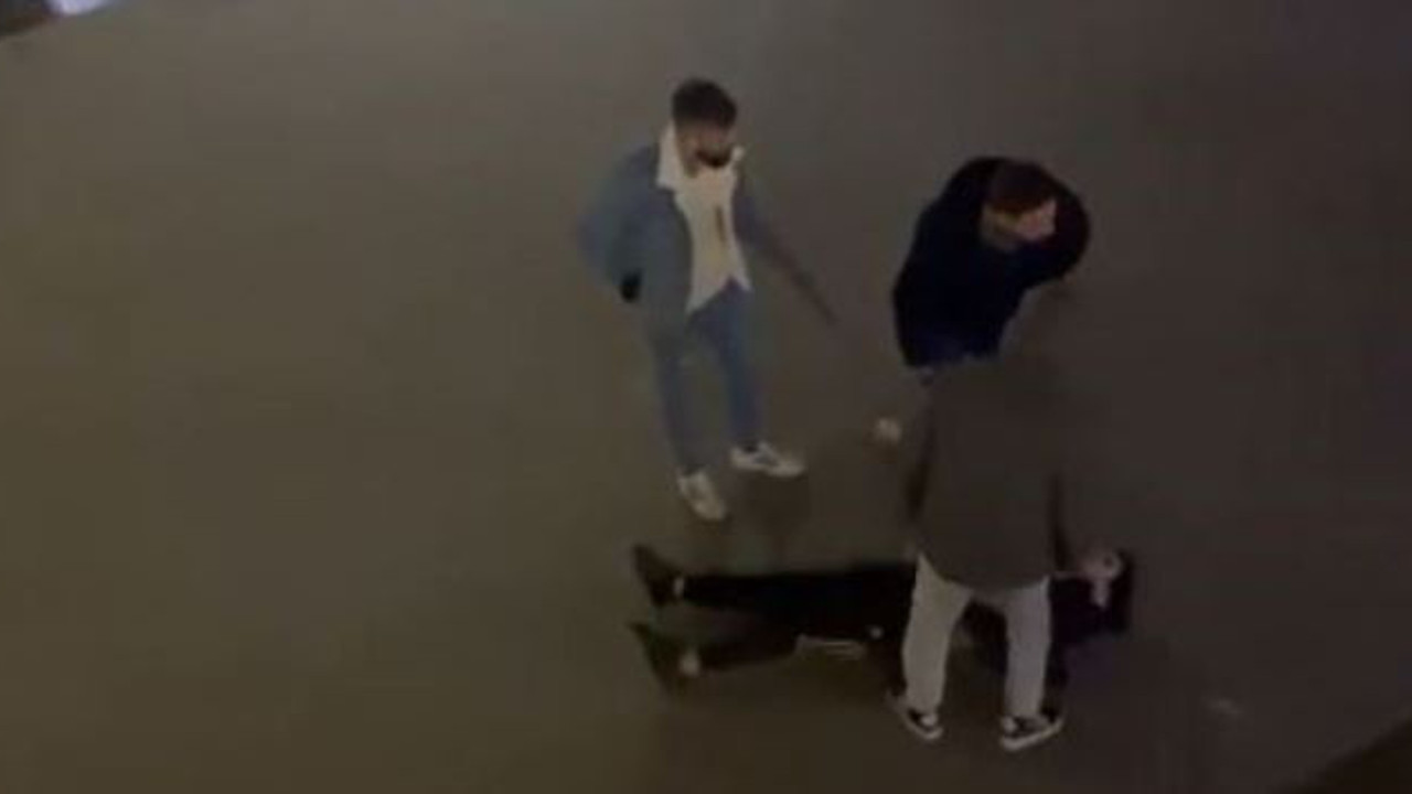 Böyle şaka mı olur. Azgın Pitbull çocuğa dehşeti yaşattı