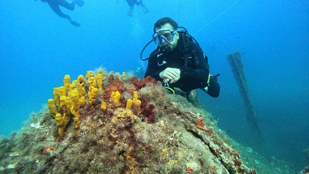 Çanakkale Savaşları’nın batıkları araştırmacılara ışık tutuyor