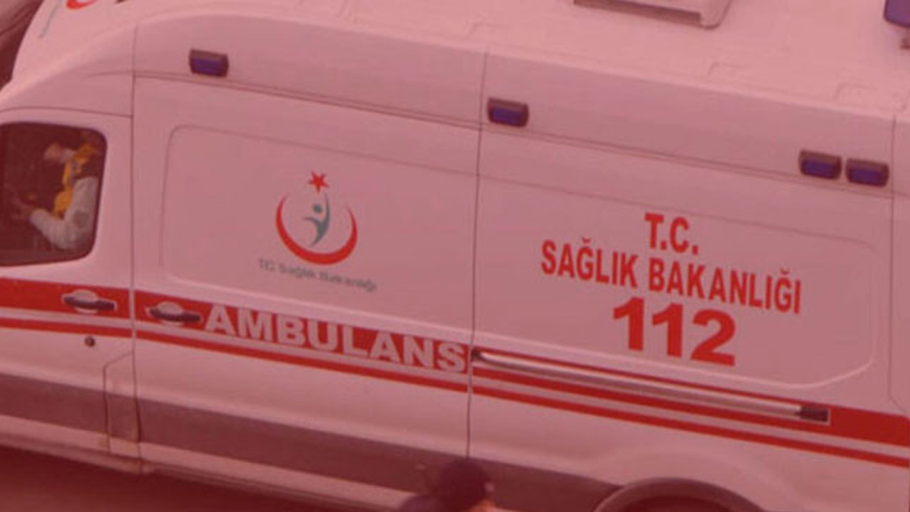 Ağabeyini göğsünden bıçaklayarak öldürdü