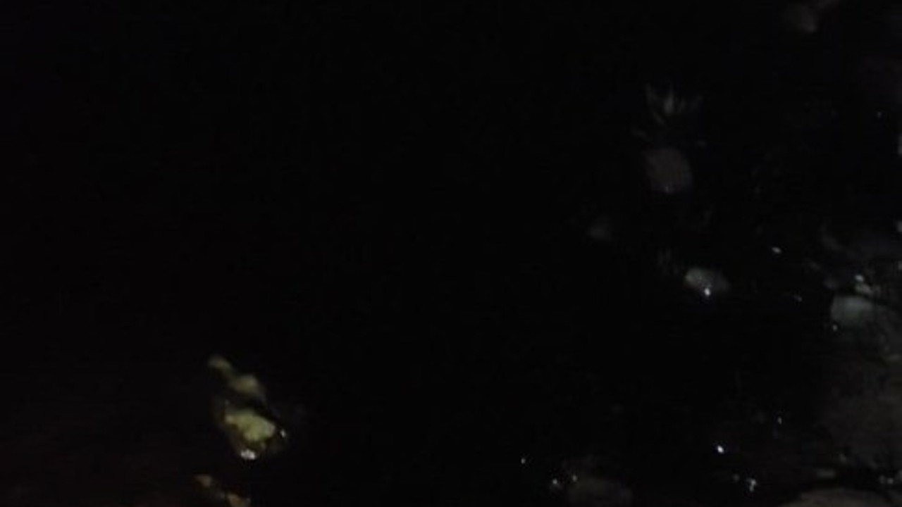 Dicle Nehri'ne tonlarca ham petrol aktı. Diyarbakır'da büyük panik