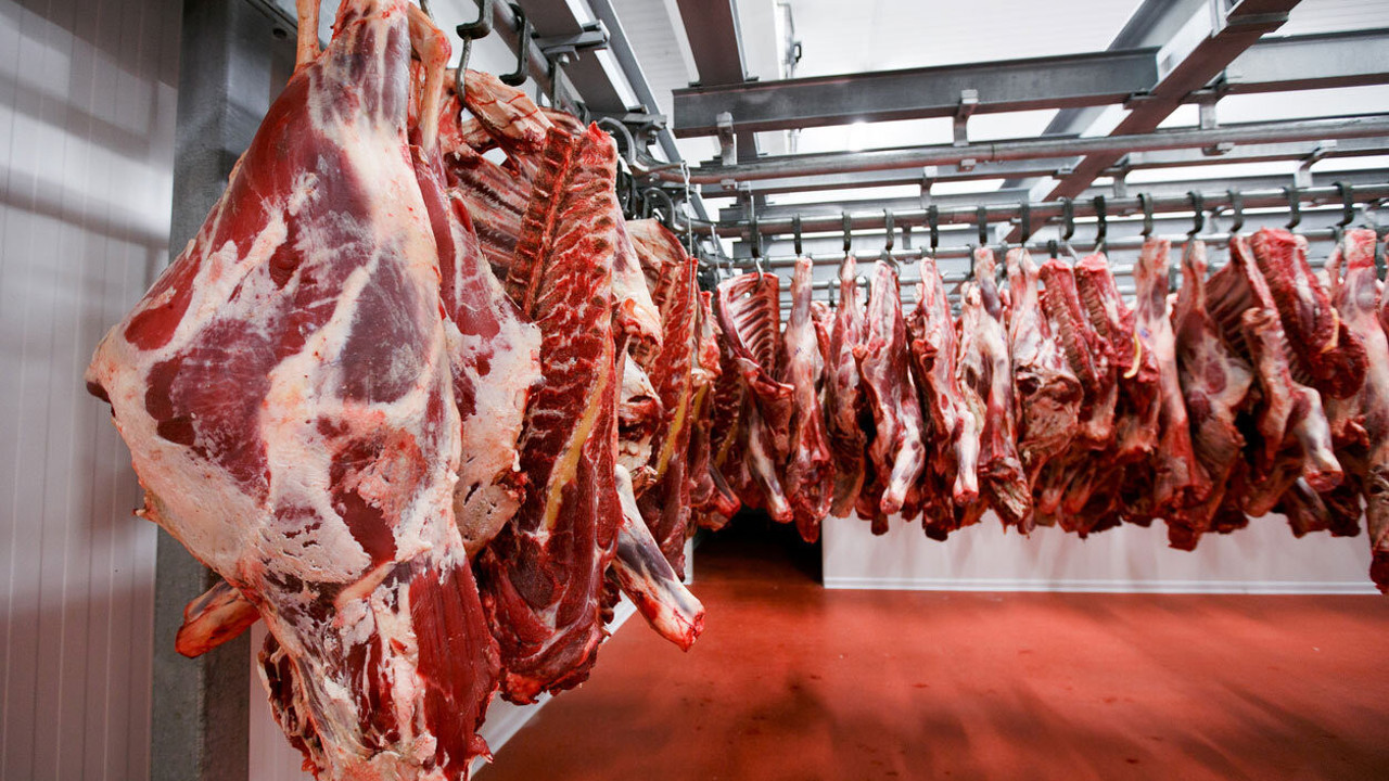 Yerli ve milli iktidardan büyük ithalat. 500 bin sığır ithal edilecek. Hayvan ithalatı 2022'de bitecek denilmişti