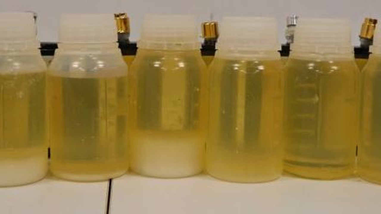 Parfüm şişesinden çıktı. Şok etti