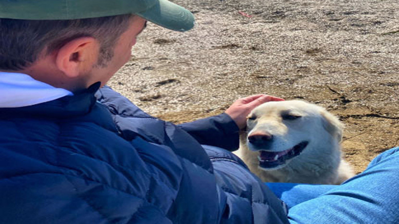 Ata Demirer'den köpeklere dair ilginç tespit. Emin ol