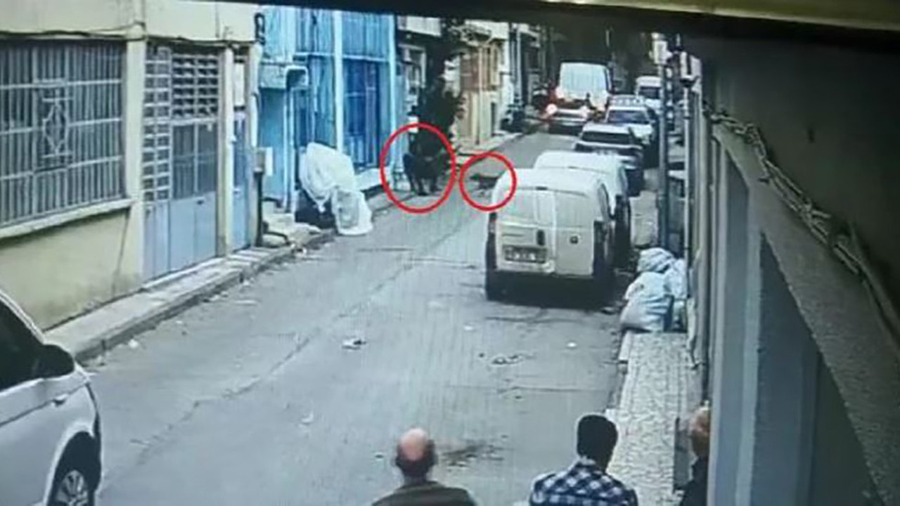 Pitbull silah sayılmıştı! Dava ağır cezada görülecek…