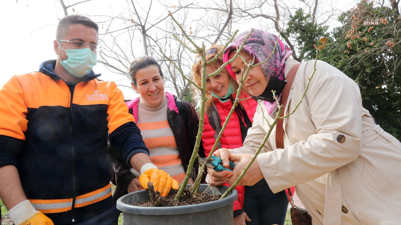 Çankaya’da bahçıvanlık eğitimleri için başvurular başlıyor