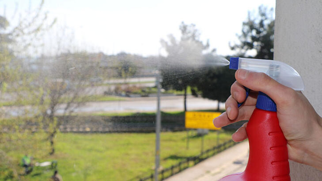 Sonsuz kimyasallar, böbrek ve testis kanseri yapıyor