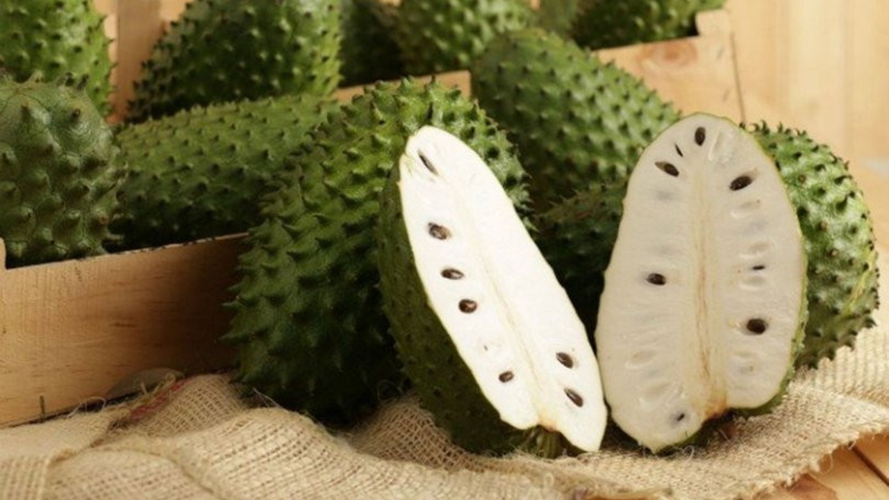 İşte Kanser tedavisinde en etkili gıdalar