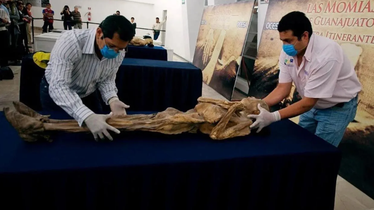 Bu mumyalar tehlike saçıyor. Uzmanlardan 'Sakın yaklaşmayın' dedi