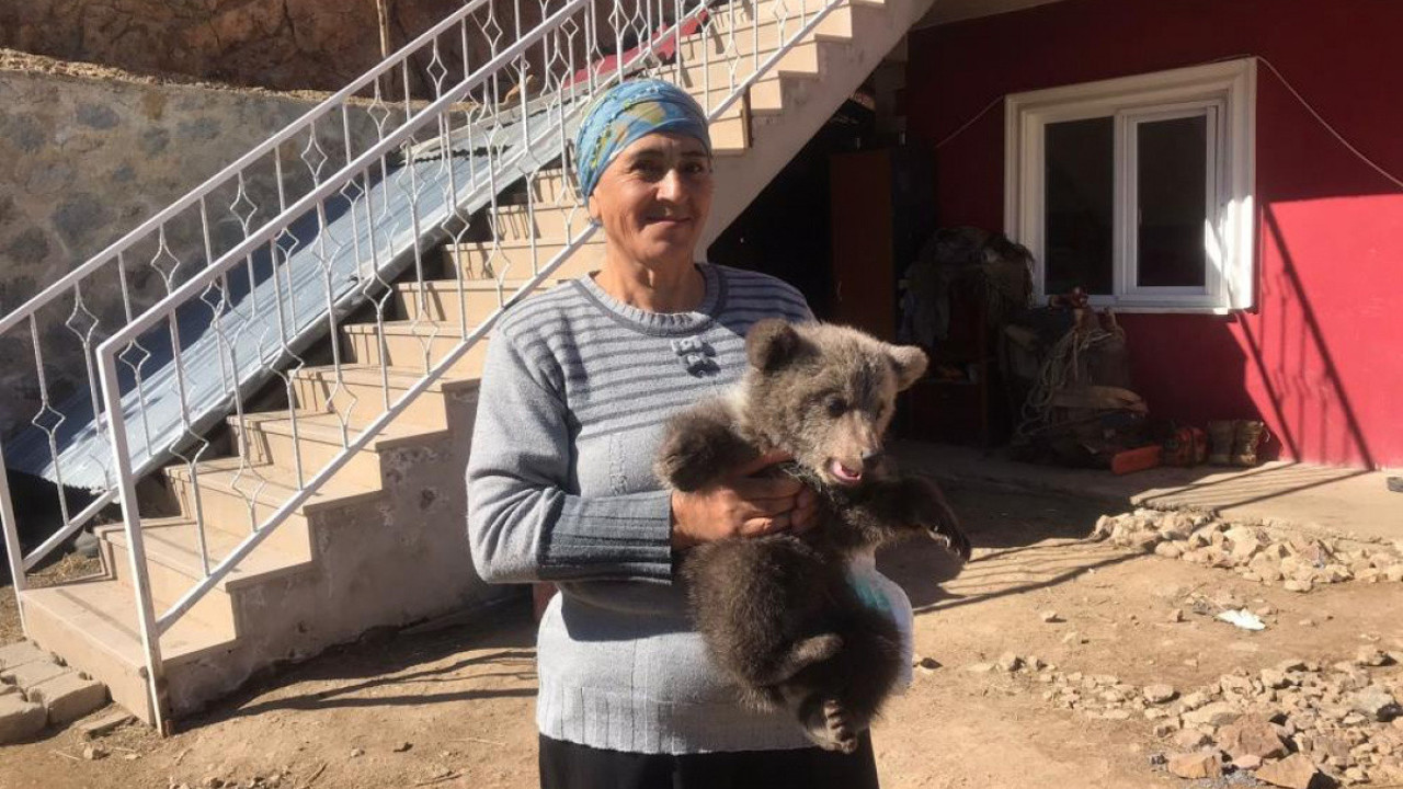 Bebek bezli yavru ayıya evinde bakan köylü: Çocuktan farkı yok
