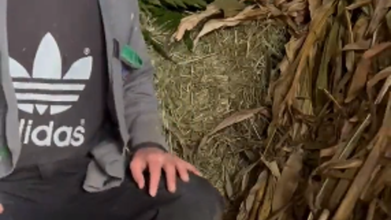 Rizeli çiftçi AKP'yi yerden yere vurdu. Rizeli vatandaş da böyle konuşuyorsa iş değişti demektir