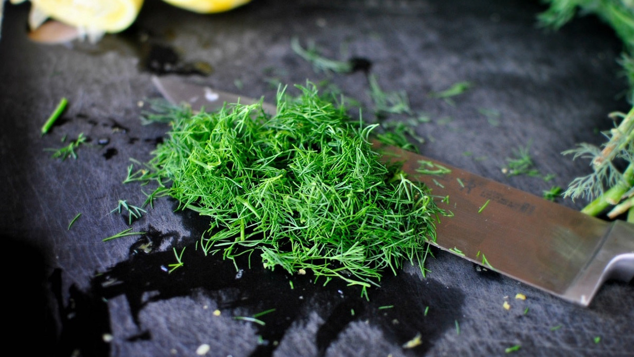 Hazmı kolaylaştıran ot (04 Nisan 2023)