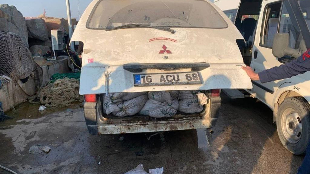 Kurda kuzu teslim etmişler. İmha için verilen deniz patlıcanlarını satmışlar