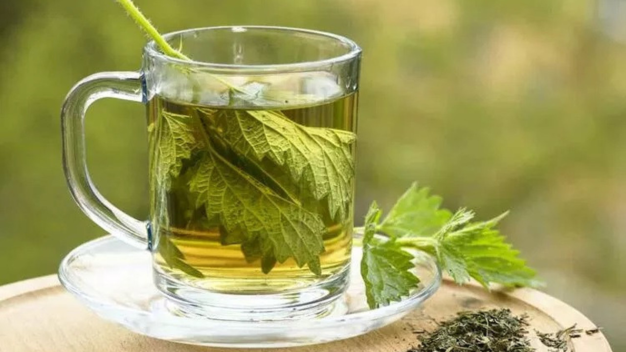 İbn-i Sina binlerce yıl önce açıkladı. Bu üç besini tüketenin ömrü uzuyor