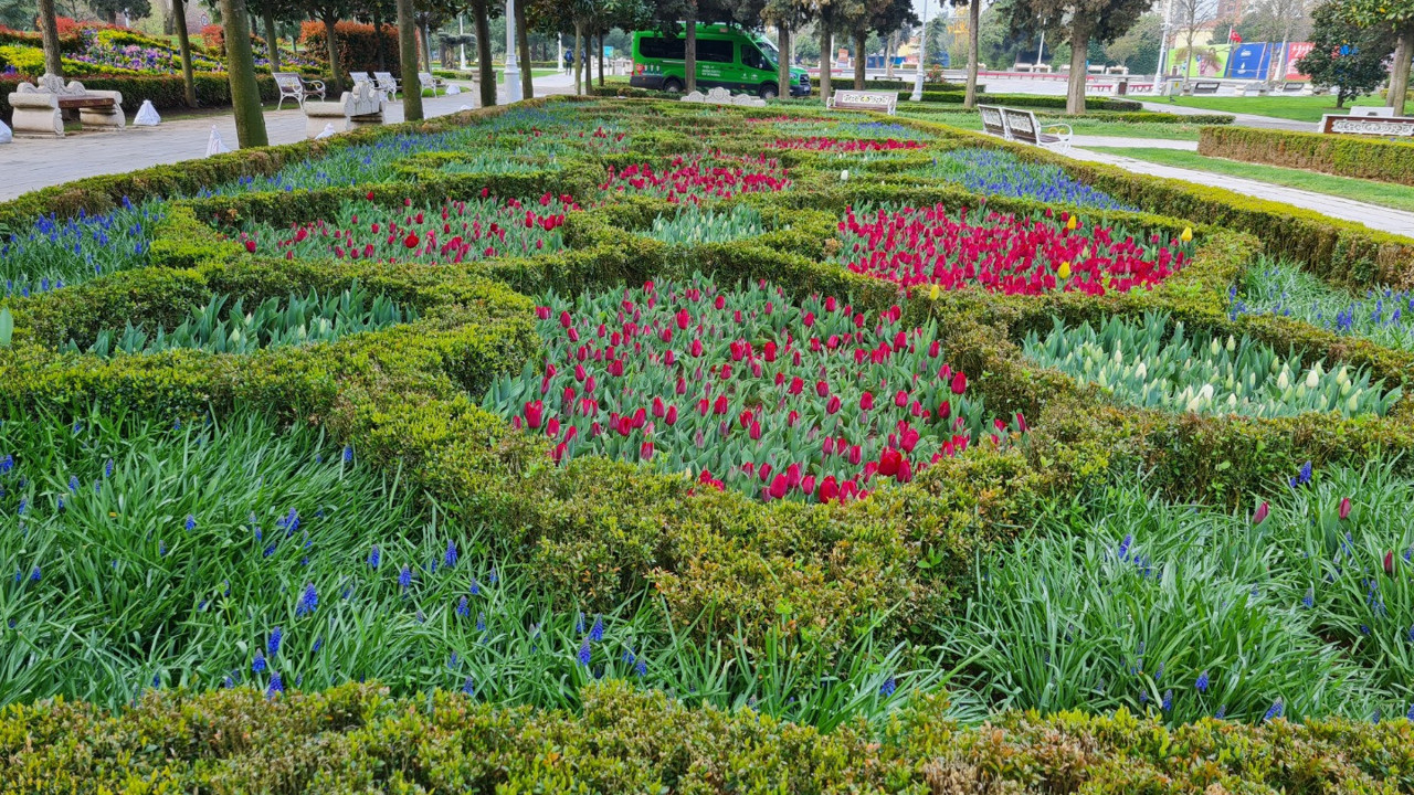 İstanbul'da lale zamanı geldi. Görsel şölenler olacak