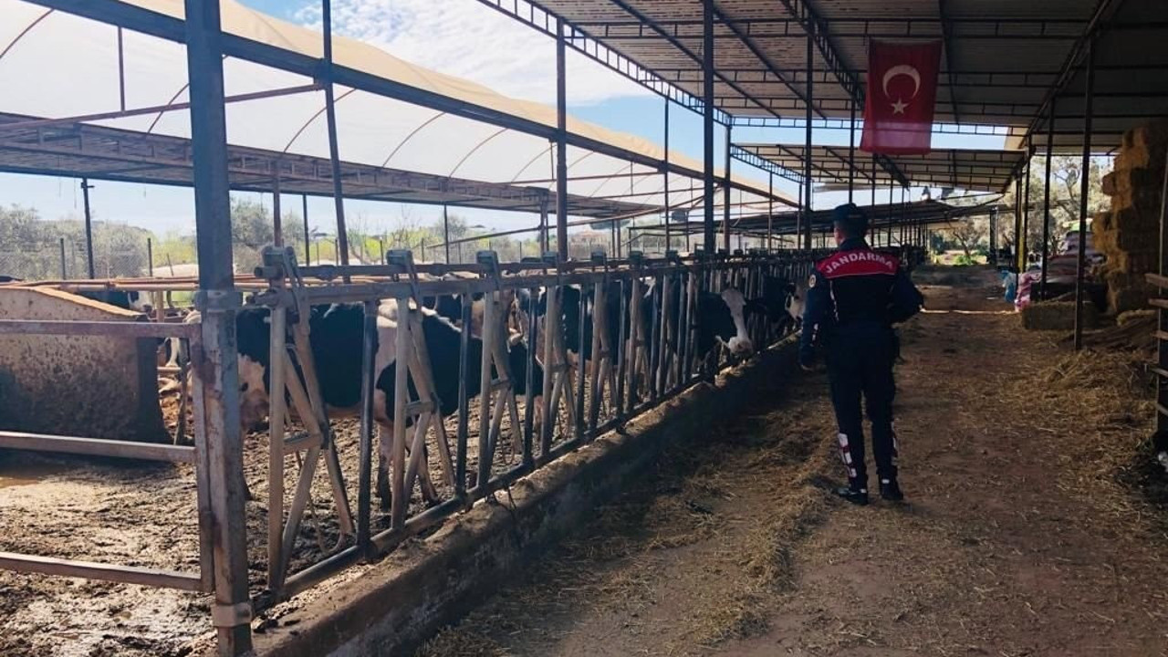 Çiftçilere hayvan hırsızlığına karşın uyarıldı