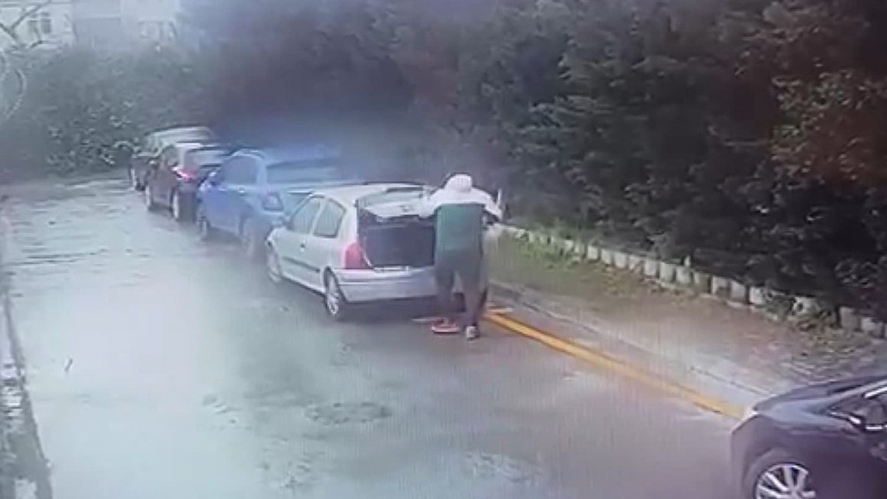 Sitedeki kedilerin sayısı azaldı! Kameraları izleyince şoke oldular...