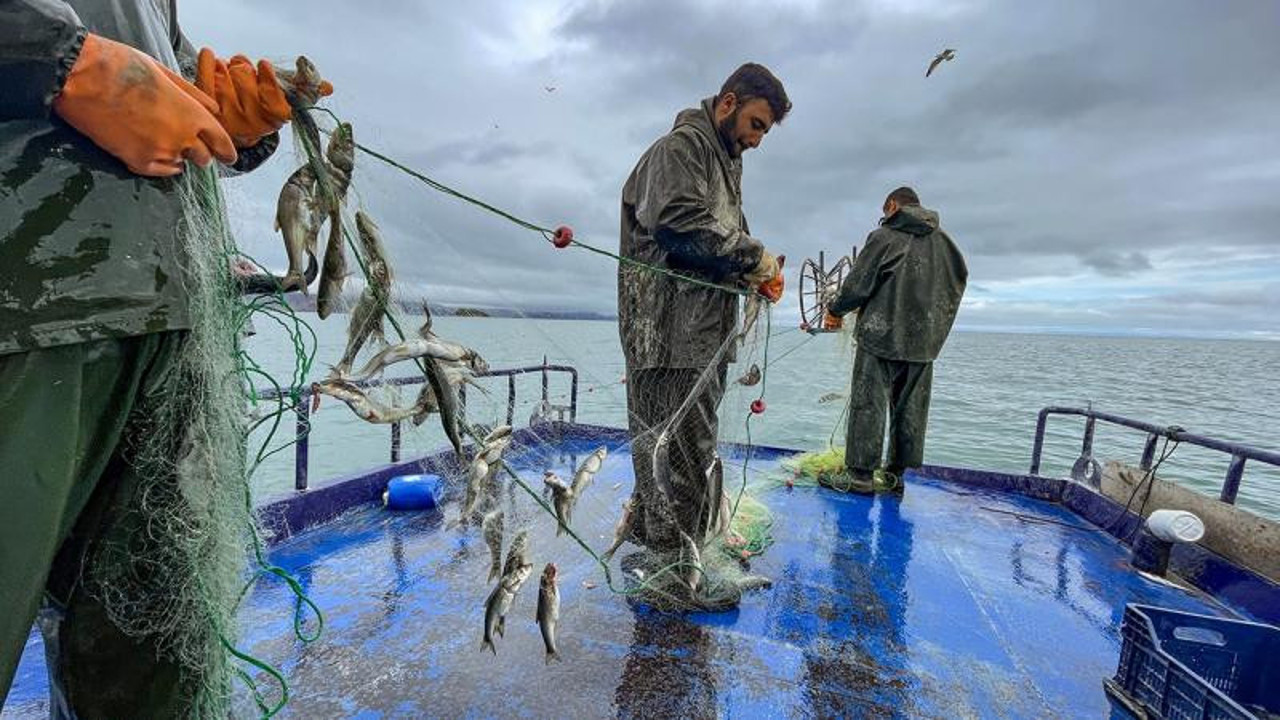 Van Gölü'nde av yasağı başladı