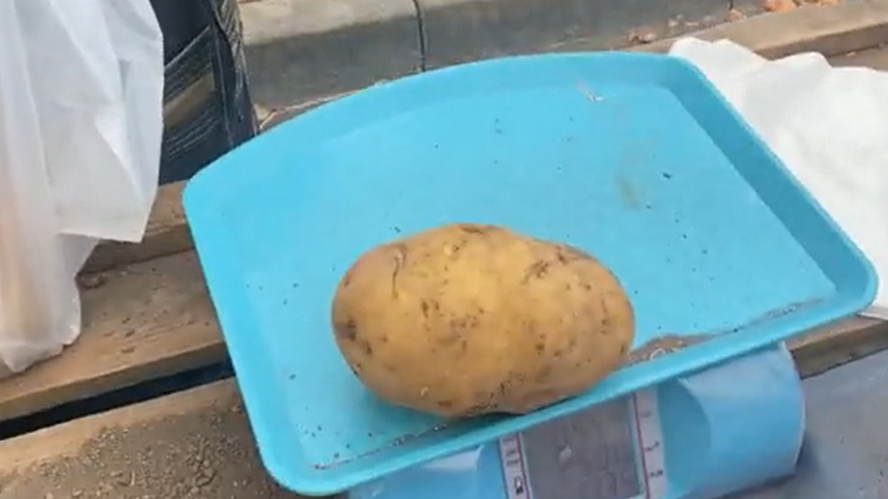 Pazarda patatesin tanesi 10 TL oldu. Şimdi Almanya bu Türkiye’yi mi kıskanıyor
