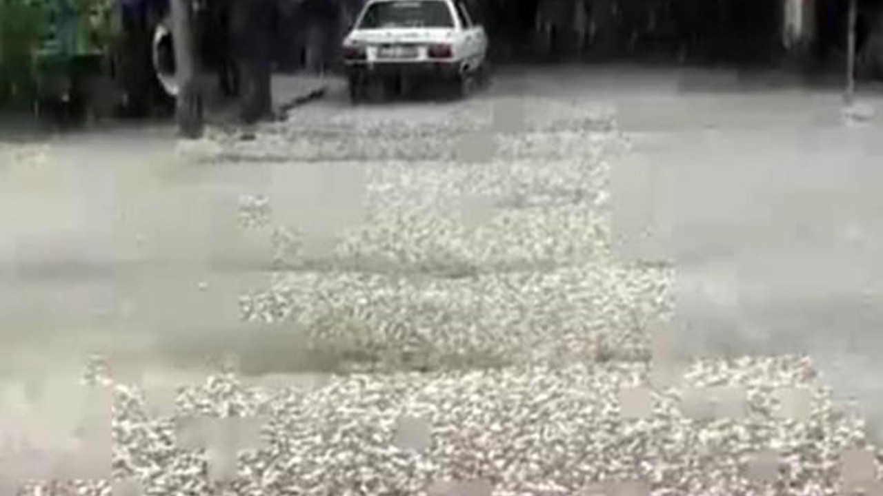 İzmir'de dolu yağışı etkili oldu