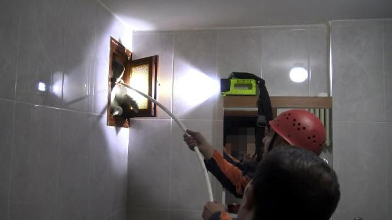 Avcılar'da itfaiyeden martı kurtarma operasyonu