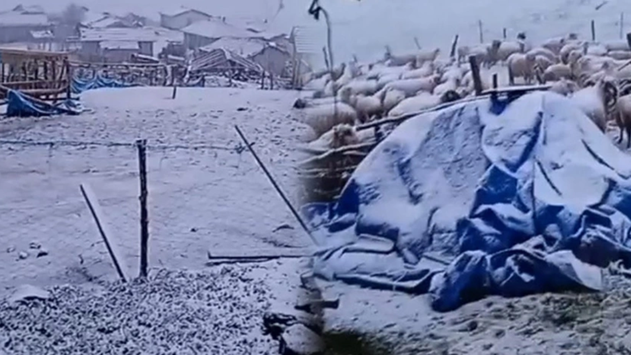 Nisan ayında kar yağdı. Her yer bembeyaz oldu