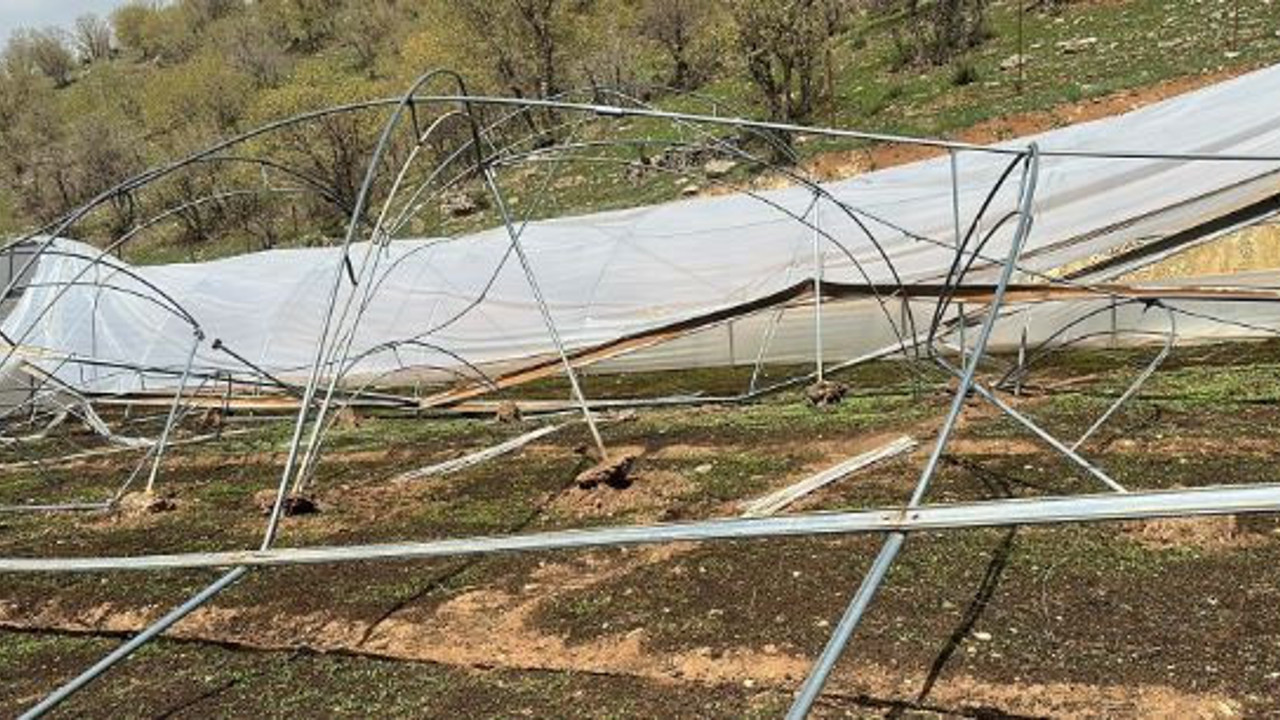Şiddetli rüzgar seraları uçurdu