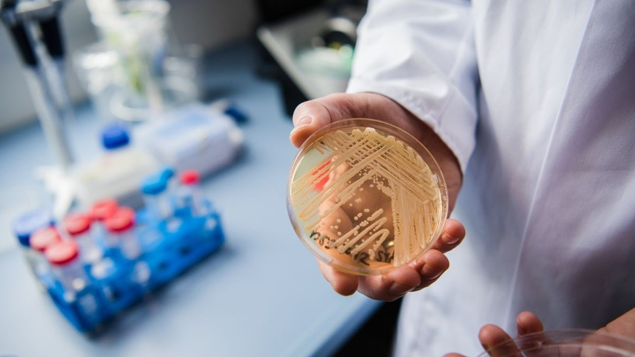 Ölümcül mantara karşı yapay zeka çözümü