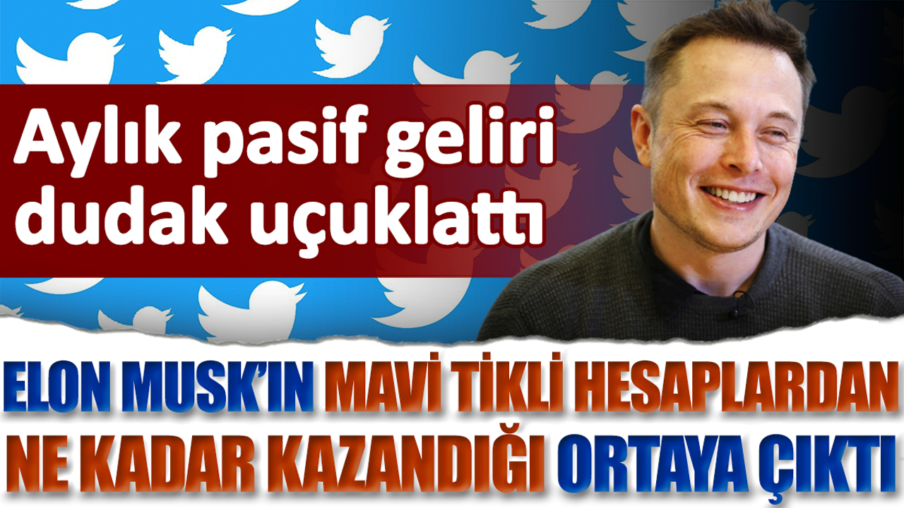 Elon Musk'ın mavi tikli hesaplardan ne kadar kazandığı ortaya çıktı. Aylık pasif geliri dudak uçuklattı