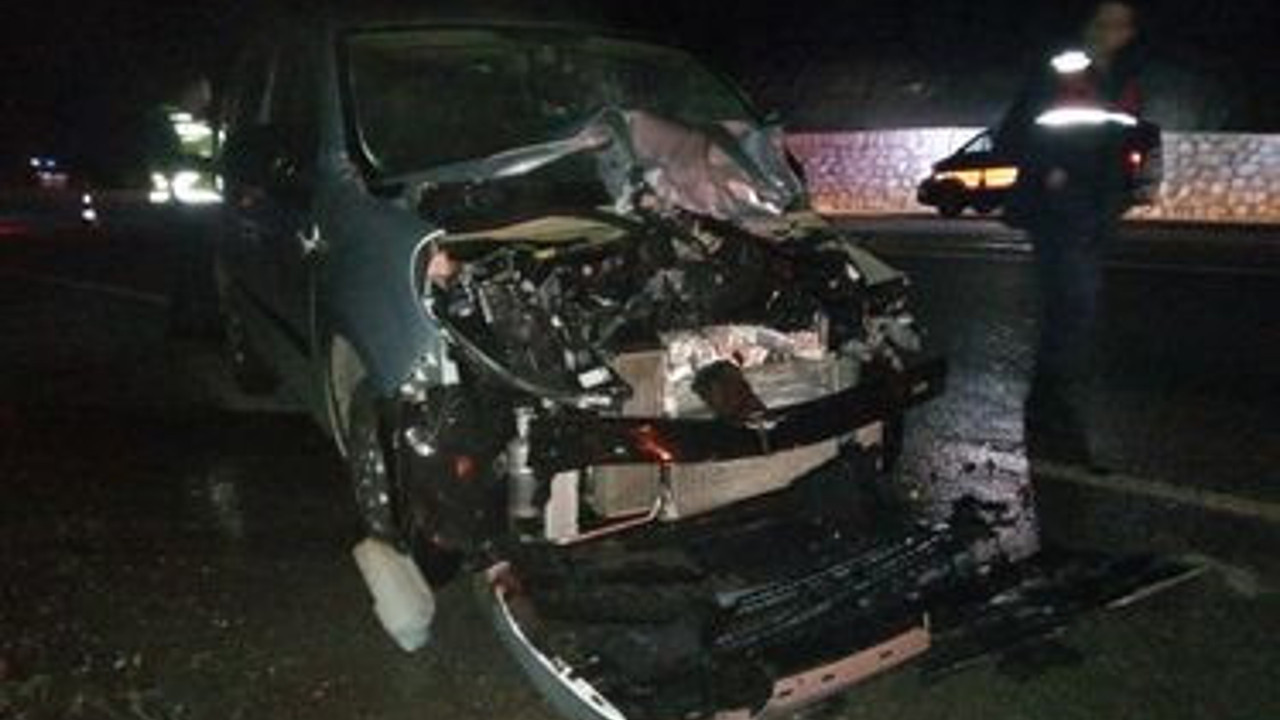 Aracın çarptığı geyik telef oldu: 2 yaralı