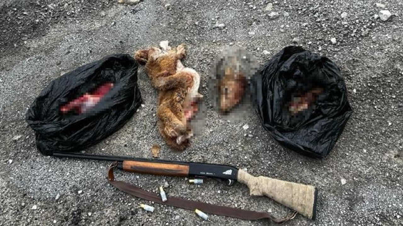 Keçi vuranlara rekor ceza