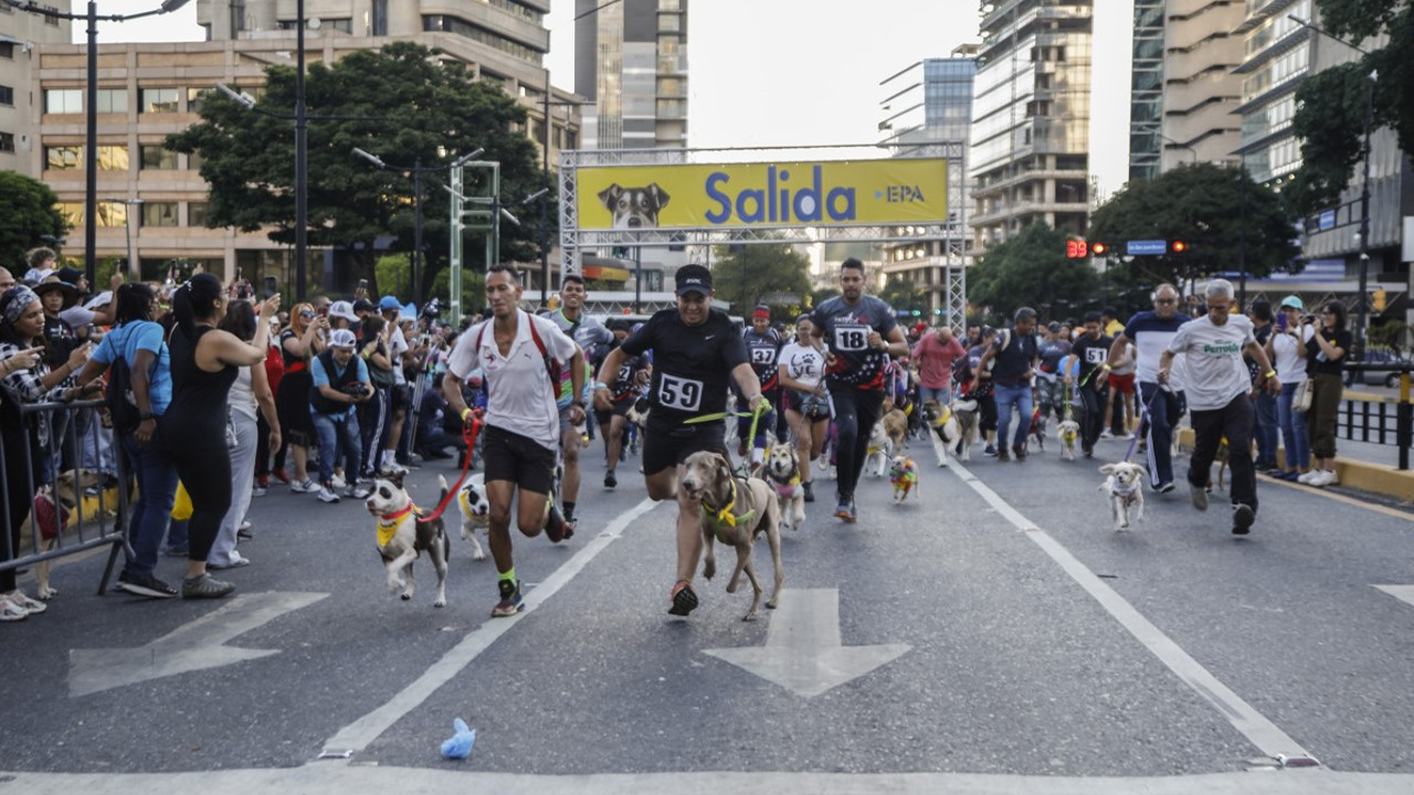 Hayvan sahiplenmeyi teşvik etmek için yarışma düzenlendi