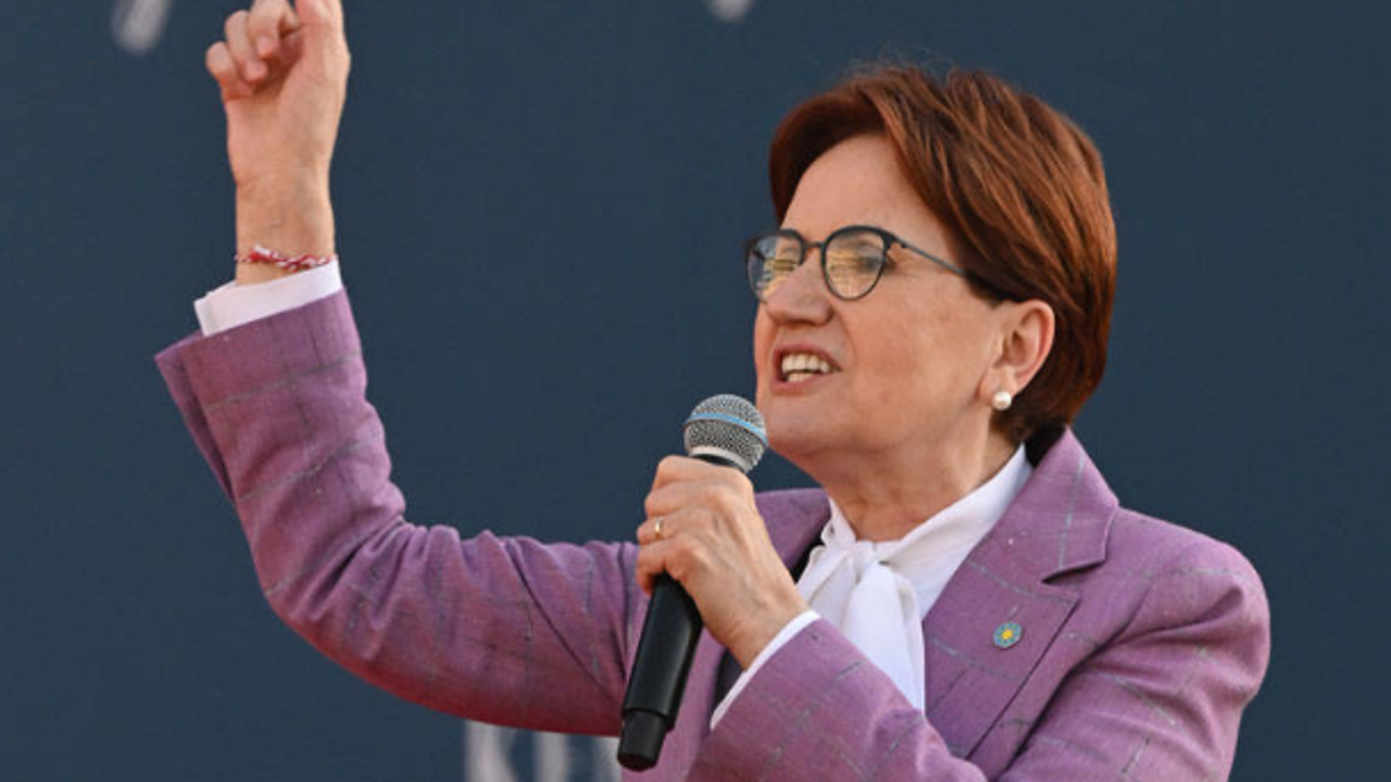 Erdoğan'ın Aleviler için 'tür' demesine Akşener'den sert tepki