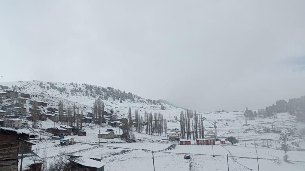 Mayıs ayında Artvin'de kar